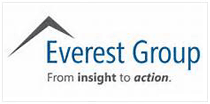 Everest Group